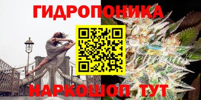 амфетамин Гусь-Хрустальный