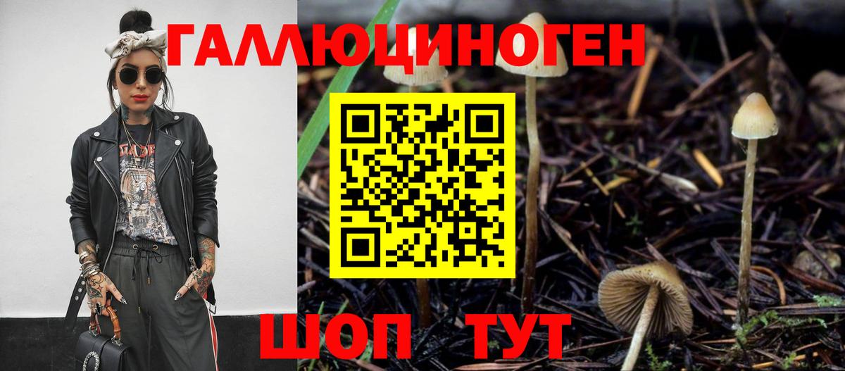 Галлюциногенные грибы прущие грибы  Вход с VPN  Москва  Псилоцибиновые грибы Psilocybe 